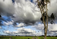 西班牙人对阵皇家马德里，这场德比战藏着多少惊喜与恩怨？